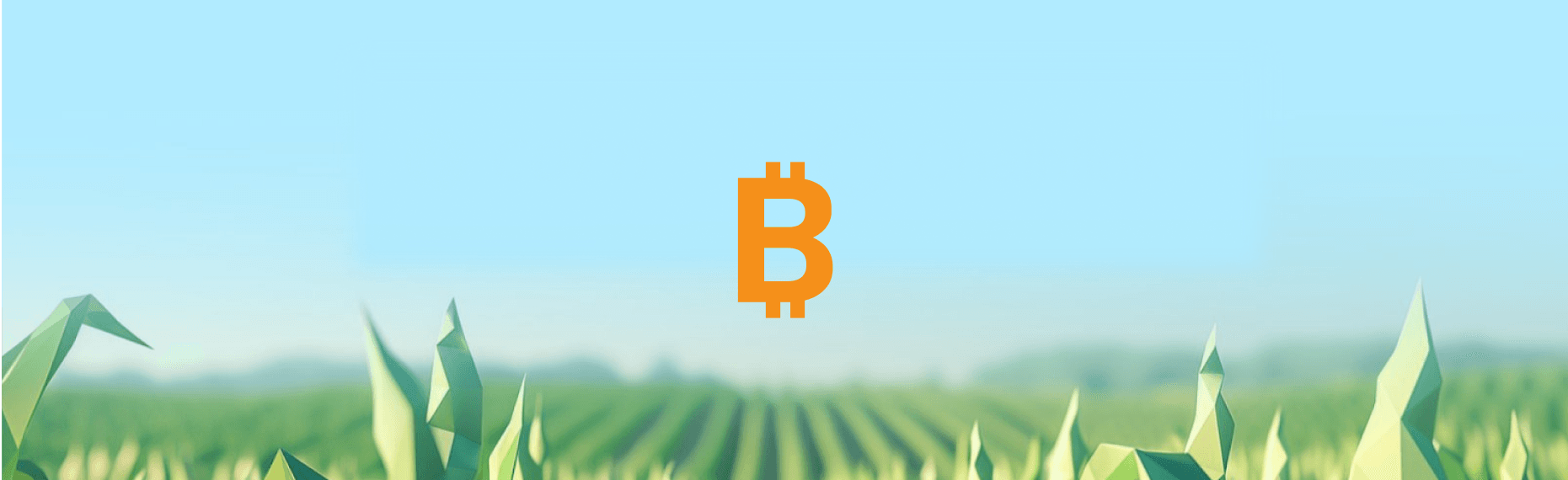 Corn Bitcoin vault cover